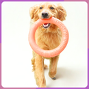 Anel Puxador Flutuante Antiestresse Treinamento Cachorros