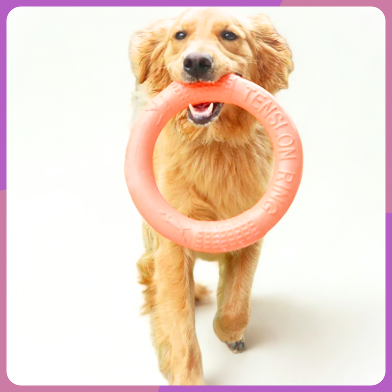 Anel Puxador Flutuante Antiestresse Treinamento Cachorros