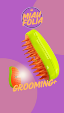 Kit Sempre Limpo! Tapete Coletor + Escova Vaporizadora